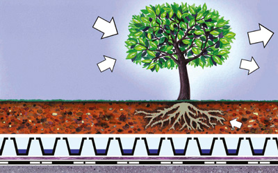 Grafico di un sistema di copertura verde con albero
