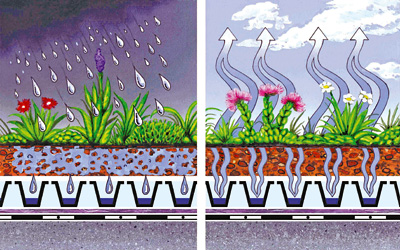 Grafica con pioggia ed evaporazione