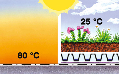Confronto della temperatura su un tetto e un tetto verde