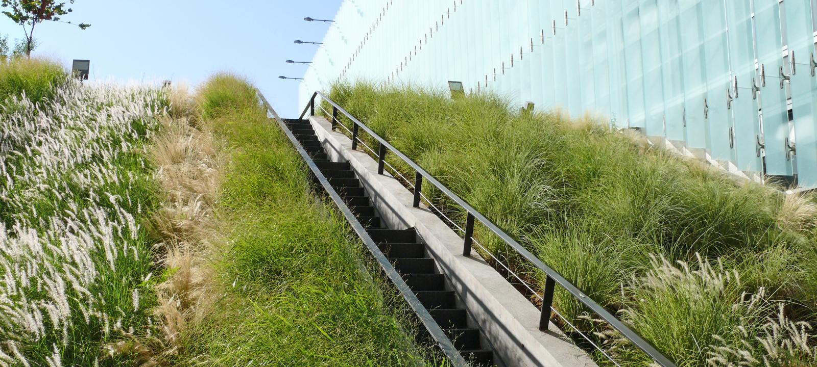 Tetto verde inclinato fino a 35°