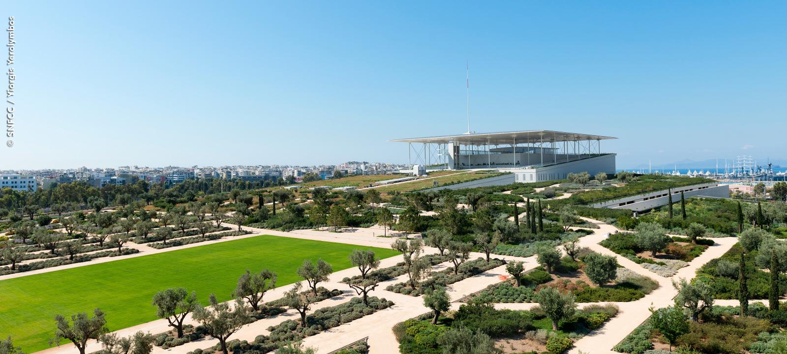 Tetto giardino con numerosi alberi d‘ulivo