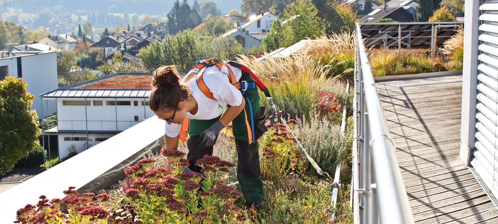 La donna con Fallnet® SR Rail su tetto verde