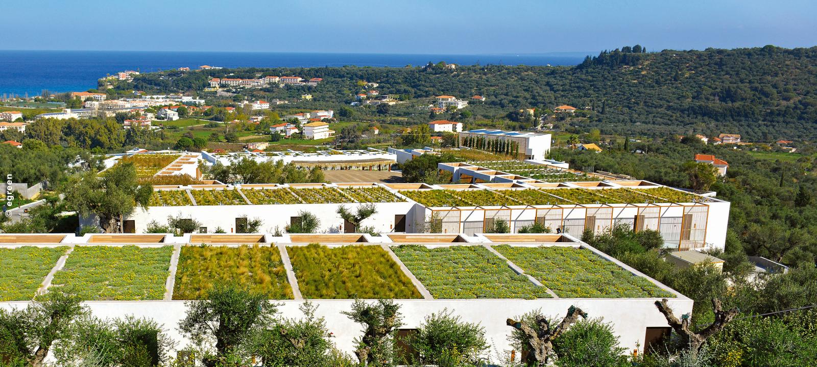 Verde pensile estensivo “Roccia fiorita”