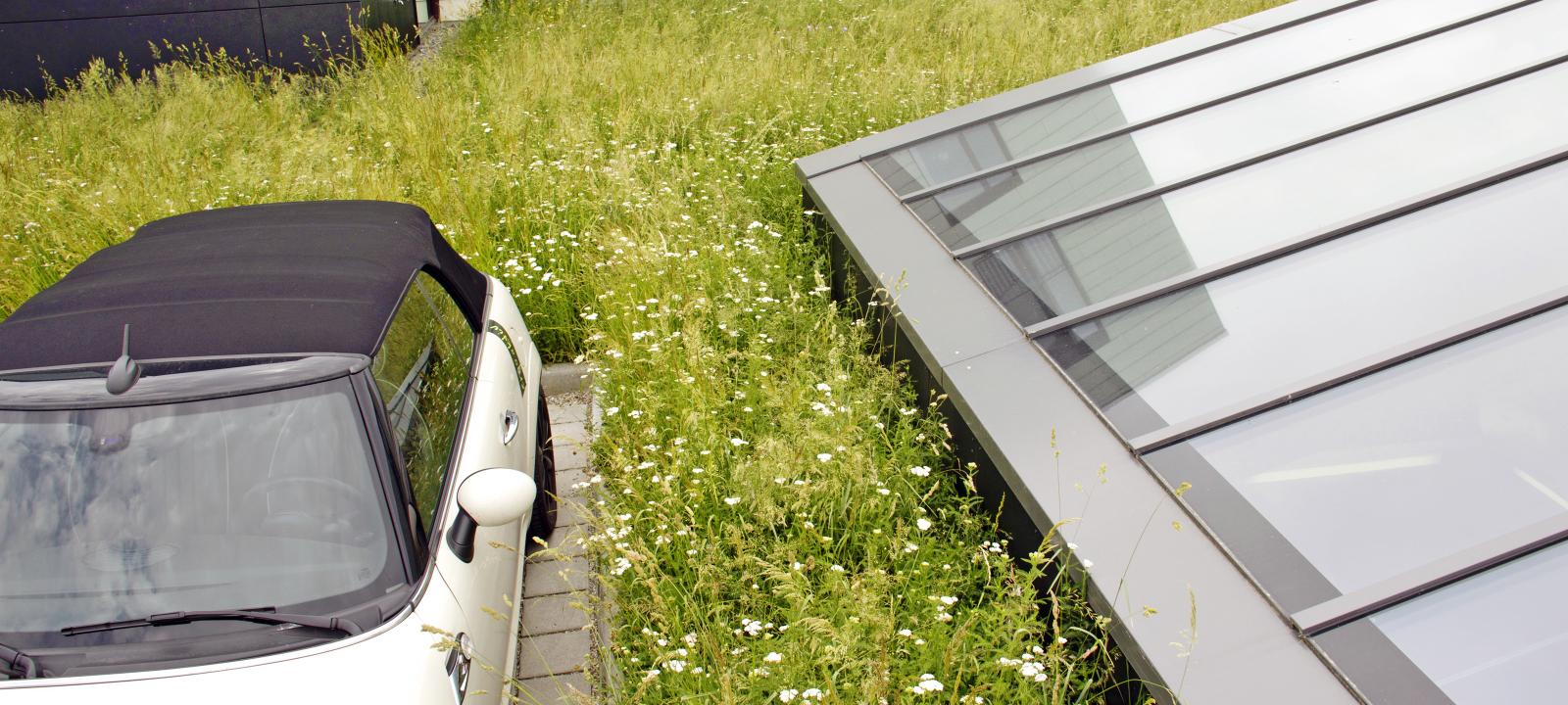 Una macchina sul tetto verde