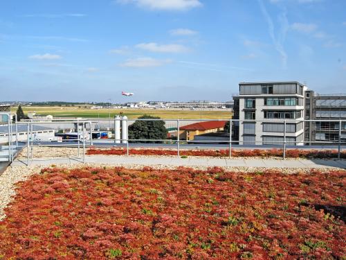 Tetto verde con Sedum