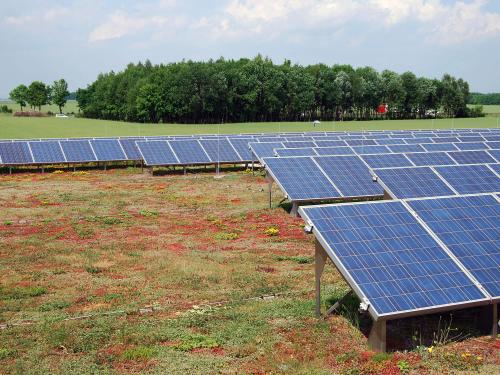 Copertura verde ed energia solare 