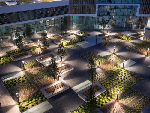 Illuminated roof garden in the courtyard at night