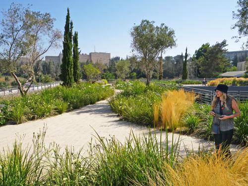 Woman standing on a roof garden with cypresses, perennials, ornamental grasses and small trees.