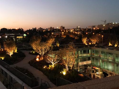 Illuminated roof garden at night