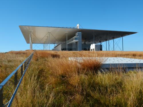Colourful grasses on a roof and modern building with a flat roof
