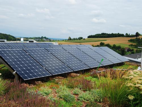 Man installs solar base frames on a green roof