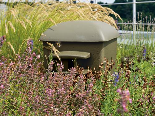 Green roof with herbs and Nesting aid