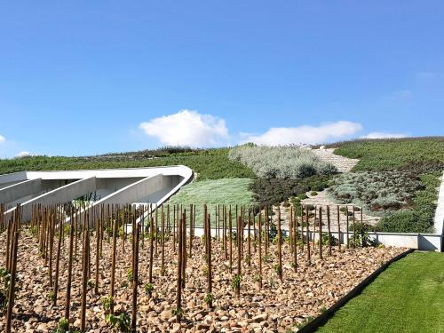 Vines in front of a pitched green roof