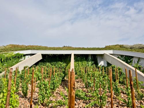 Vines in front of a pitched green roof