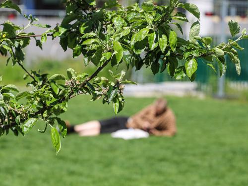 A person lies on a lawn