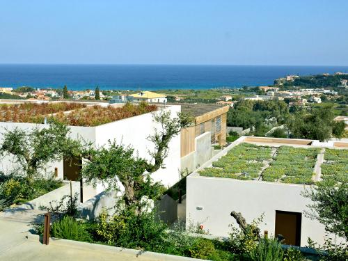 Extensive green roofs surrounded by olive trees