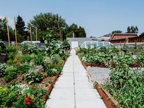 Roof garden with vegetable patches