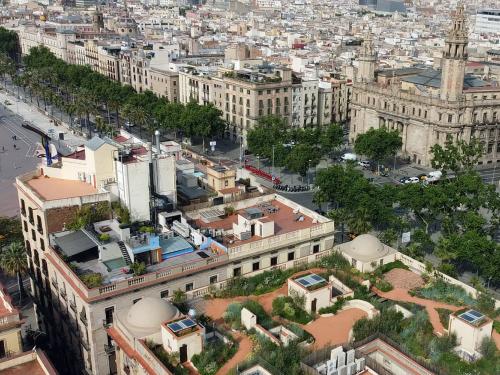 Bird's eye view onto a green roof in a city