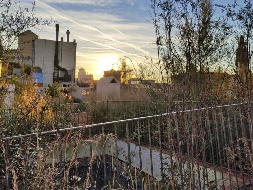 Green roof with a railing
