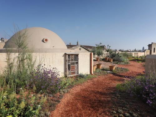 Roof garden with pathway