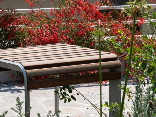 Wooden seat surrounded by flowers