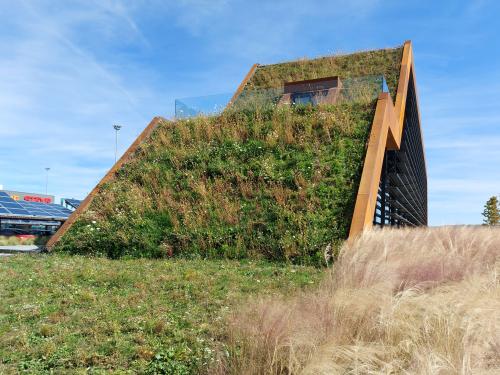 Steep pitched green roof