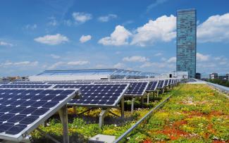 La combinazione di pannelli solari e tetto verde estensivo