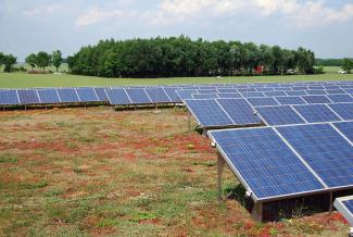 Copertura verde ed energia solare 