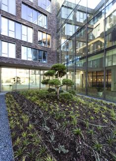 Courtyard with plant bed and small tree