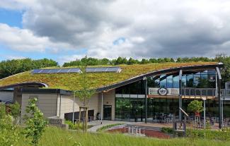 A curving green roof in the shape of a wave