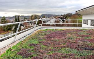 Collective protection: with the Fallnet® Safety Railing ASG, the roof as a workplace is safe for everyone, whether they are carrying out maintenance work or servicing technical equipment. Vegetated roof with railing