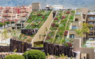 Steep pitched green roof