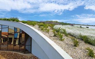 Pitched green roof flowering white and purple