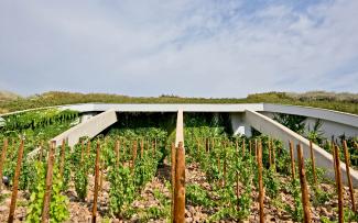 Vines in front of a pitched green roof