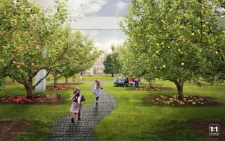 People sitting in an orchard