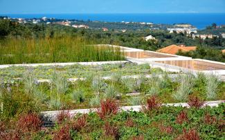 Roof areas vegetated with various kinds of plants