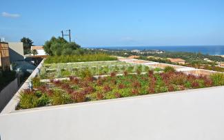 Extensive green roofs in front of the sea