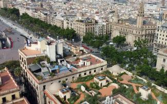 Bird's eye view onto a green roof in a city