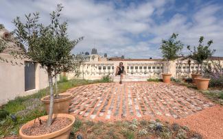 Roof garden