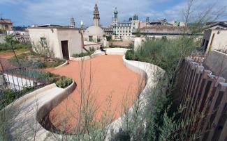 Roof garden