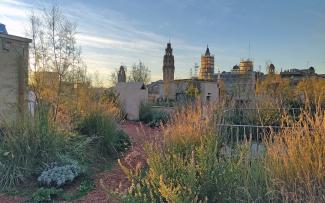 Green roof