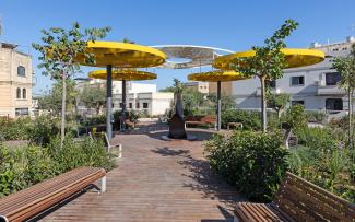 Roof garden on top of a park roof