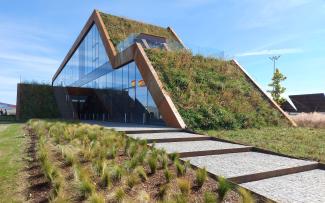 Steep pitched green roof with a step