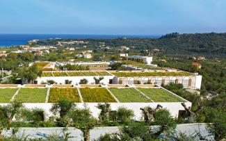 Verde pensile estensivo “Roccia fiorita”