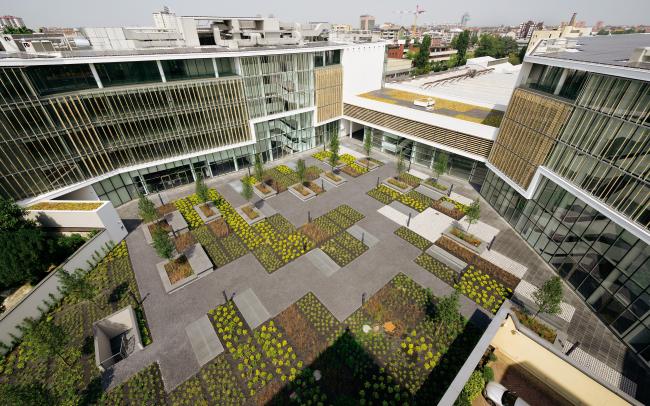 Vista al cortile con aree di vegetazione ed alberi.