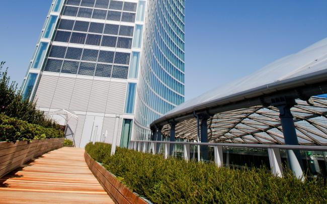 Tetto verde con pedonali