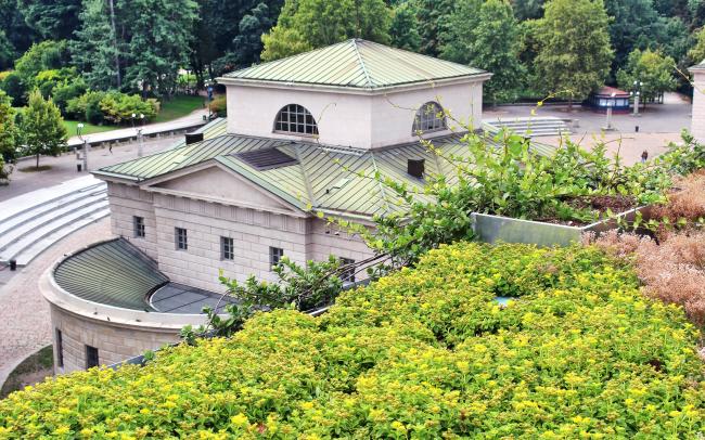 Tetto verde con Sedum