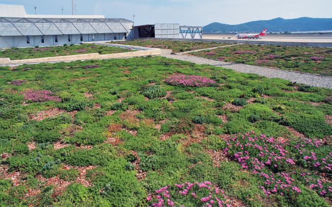 Vista sul tetto verde estensivo di grande superfice