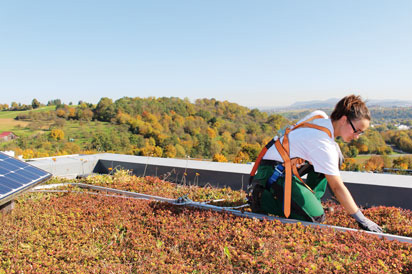 Roof gardener with safety system